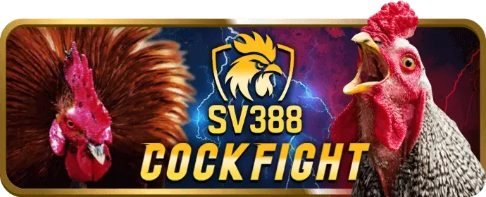 Hình ảnh cập nhật bóng đá w88club nhà cái